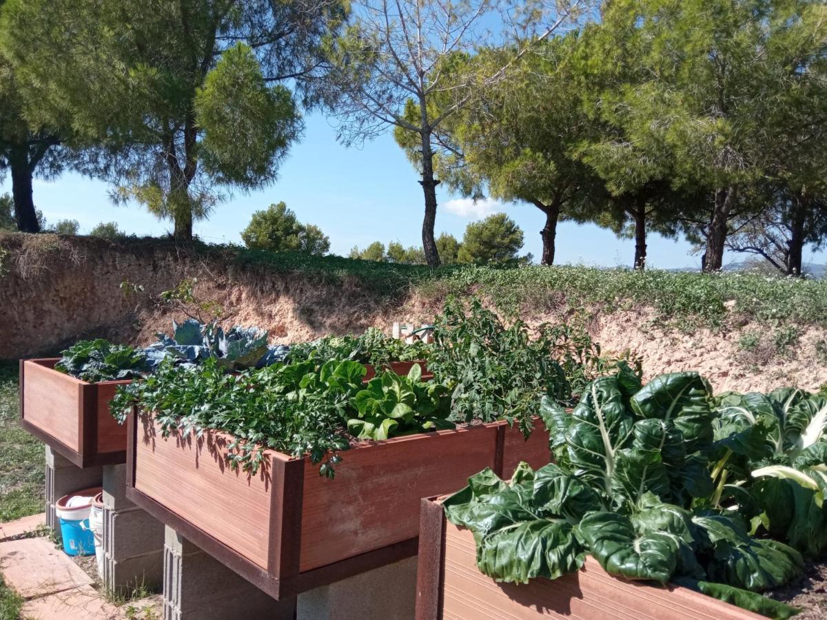 Romegosa Benestar Villa Sant Marcal ภายนอก รูปภาพ