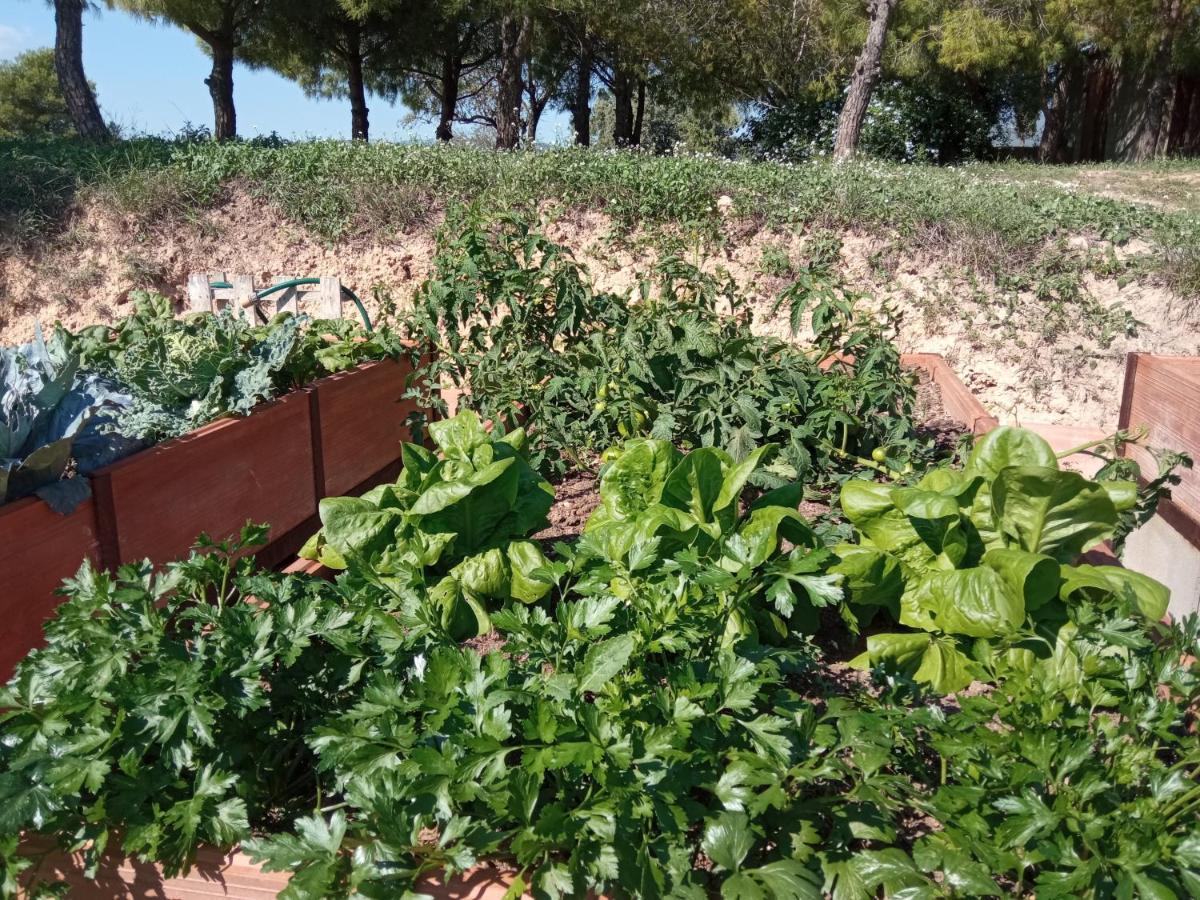 Romegosa Benestar Villa Sant Marcal ภายนอก รูปภาพ