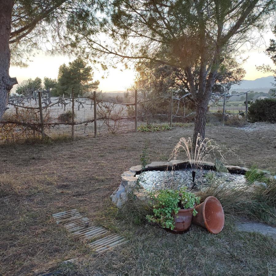Romegosa Benestar Villa Sant Marcal ภายนอก รูปภาพ